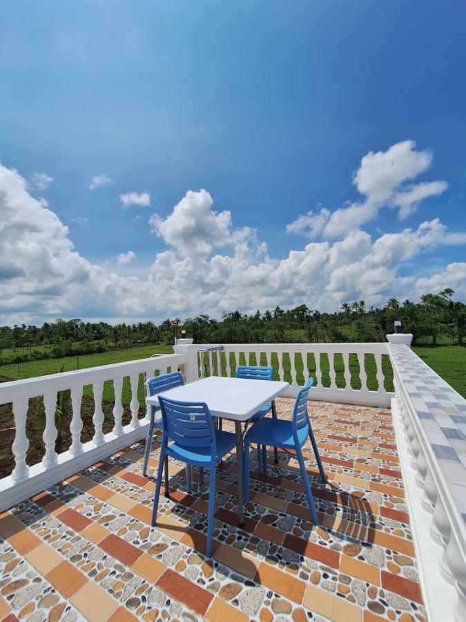 Joe'S Castle Bed & Breakfast Sagbayan Ngoại thất bức ảnh